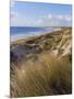 Northern Beach, Chatham Islands Islands-Julia Thorne-Mounted Photographic Print