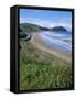 Northern Beaches on the Coast Road, Gisborne, East Coast, North Island, New Zealand-D H Webster-Framed Stretched Canvas