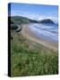 Northern Beaches on the Coast Road, Gisborne, East Coast, North Island, New Zealand-D H Webster-Stretched Canvas