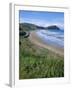 Northern Beaches on the Coast Road, Gisborne, East Coast, North Island, New Zealand-D H Webster-Framed Photographic Print