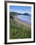 Northern Beaches on the Coast Road, Gisborne, East Coast, North Island, New Zealand-D H Webster-Framed Photographic Print