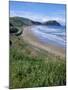 Northern Beaches on the Coast Road, Gisborne, East Coast, North Island, New Zealand-D H Webster-Mounted Photographic Print