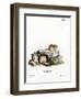 Northern Birch Mouse-null-Framed Giclee Print