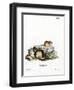 Northern Birch Mouse-null-Framed Giclee Print