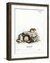 Northern Birch Mouse-null-Framed Giclee Print