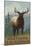 Northern California - Elk Scene-Lantern Press-Mounted Art Print