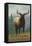 Northern California - Elk Scene-Lantern Press-Framed Stretched Canvas