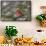 Northern Cardinal (Cardinalis cardinalis) male perching on pine branch covered in snow, Marion C...-Panoramic Images-Framed Stretched Canvas displayed on a wall