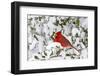 Northern Cardinal in American Holly in Winter, Marion, Illinois, Usa-Richard ans Susan Day-Framed Photographic Print