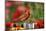 Northern Cardinal Male on Fence Post Near Flower Garden, Marion, Il-Richard and Susan Day-Mounted Photographic Print