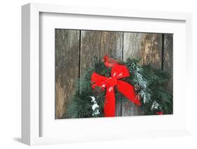 Northern Cardinal male on holiday wreath made for birds on barn door, Marion County, Illinois-Richard & Susan Day-Framed Photographic Print