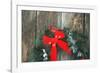 Northern Cardinal male on holiday wreath made for birds on barn door, Marion County, Illinois-Richard & Susan Day-Framed Photographic Print