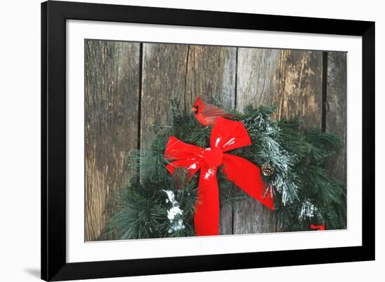Northern Cardinal male on holiday wreath made for birds on barn door, Marion County, Illinois-Richard & Susan Day-Framed Photographic Print