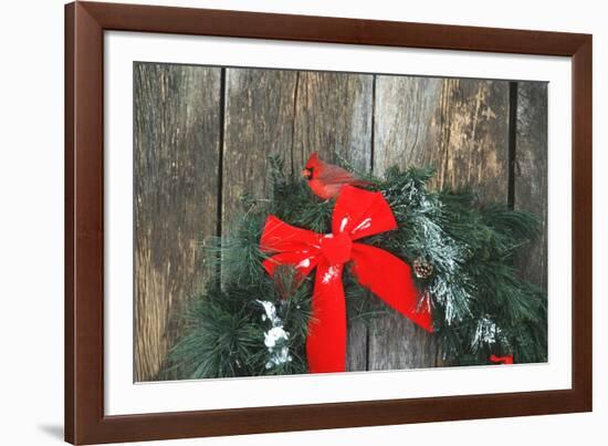 Northern Cardinal male on holiday wreath made for birds on barn door, Marion County, Illinois-Richard & Susan Day-Framed Photographic Print