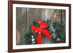 Northern Cardinal male on holiday wreath made for birds on barn door, Marion County, Illinois-Richard & Susan Day-Framed Photographic Print