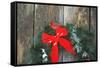 Northern Cardinal male on holiday wreath made for birds on barn door, Marion County, Illinois-Richard & Susan Day-Framed Stretched Canvas