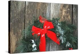 Northern Cardinal male on holiday wreath made for birds on barn door, Marion County, Illinois-Richard & Susan Day-Stretched Canvas