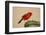 Northern Cardinal male perched on cactus-Larry Ditto-Framed Photographic Print