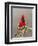 Northern Cardinal, Texas, USA-Larry Ditto-Framed Photographic Print