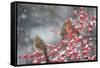 Northern Cardinals in Common Winterberry, Marion, Illinois, Usa-Richard ans Susan Day-Framed Stretched Canvas