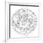 Northern Celestial Map-Science, Industry and Business Library-Framed Photographic Print