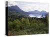Northern Coniferous Forest Around Lake Skilak on the Kenai Peninsula, Alaska, USA-Jeremy Bright-Stretched Canvas