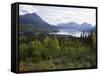 Northern Coniferous Forest Around Lake Skilak on the Kenai Peninsula, Alaska, USA-Jeremy Bright-Framed Stretched Canvas