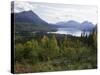 Northern Coniferous Forest Around Lake Skilak on the Kenai Peninsula, Alaska, USA-Jeremy Bright-Stretched Canvas