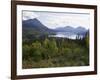 Northern Coniferous Forest Around Lake Skilak on the Kenai Peninsula, Alaska, USA-Jeremy Bright-Framed Photographic Print