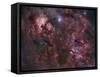 Northern Cygnus-Stocktrek Images-Framed Stretched Canvas