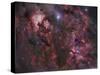 Northern Cygnus-Stocktrek Images-Stretched Canvas