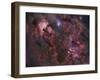 Northern Cygnus-Stocktrek Images-Framed Photographic Print