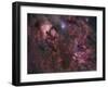 Northern Cygnus-Stocktrek Images-Framed Photographic Print