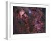 Northern Cygnus-Stocktrek Images-Framed Photographic Print