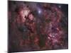 Northern Cygnus-Stocktrek Images-Mounted Photographic Print