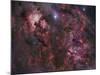 Northern Cygnus-Stocktrek Images-Mounted Photographic Print