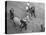 Northern Dancer after Winning the Kentucky Derby-null-Stretched Canvas