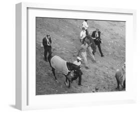 Northern Dancer after Winning the Kentucky Derby-null-Framed Photographic Print