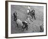 Northern Dancer after Winning the Kentucky Derby-null-Framed Photographic Print