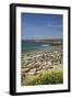 Northern Elephant Seals, Piedras Blancas Elephant Seal Rookery, Near San Simeon, California-David Wall-Framed Photographic Print