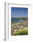 Northern Elephant Seals, Piedras Blancas Elephant Seal Rookery, Near San Simeon, California-David Wall-Framed Photographic Print