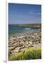 Northern Elephant Seals, Piedras Blancas Elephant Seal Rookery, Near San Simeon, California-David Wall-Framed Photographic Print