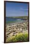 Northern Elephant Seals, Piedras Blancas Elephant Seal Rookery, Near San Simeon, California-David Wall-Framed Photographic Print