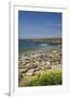 Northern Elephant Seals, Piedras Blancas Elephant Seal Rookery, Near San Simeon, California-David Wall-Framed Premium Photographic Print