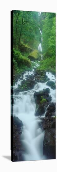 Northern Falls at Silver Falls State Park, Salem, Oregon-null-Stretched Canvas