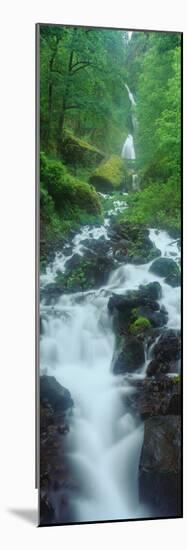 Northern Falls at Silver Falls State Park, Salem, Oregon-null-Mounted Photographic Print