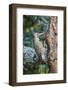 Northern Flicker-Gary Carter-Framed Photographic Print