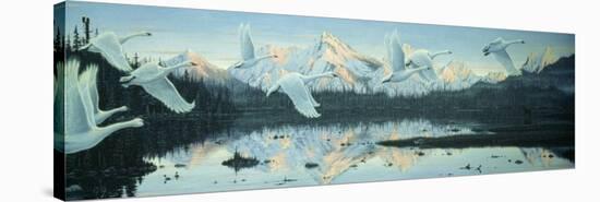 Northern Flight-Jeff Tift-Stretched Canvas