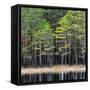 Northern Forest Landscape with a Lake-Aleksey Stemmer-Framed Stretched Canvas