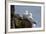 Northern Fulmar (Arctic Fulmar) (Fulmarus Glacialis) Pair, Iceland, Polar Regions-James-Framed Photographic Print